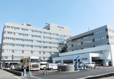 Tokushukai Hospital (Япония)